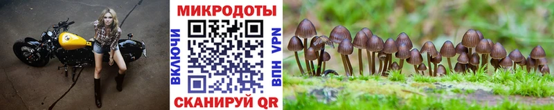 Галлюциногенные грибы Magic Shrooms  Шали 